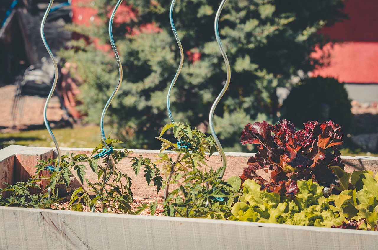 découvrez les avantages d'un jardin surélevé : facilité d'entretien, meilleure drainage et productivité accrue pour vos légumes et fleurs.
