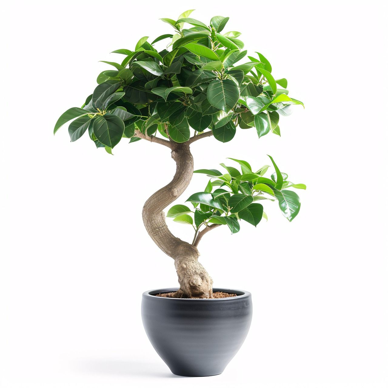 découvrez des idées de décoration intérieure éco-responsable alliant style et respect de l'environnement pour une maison saine et tendance.