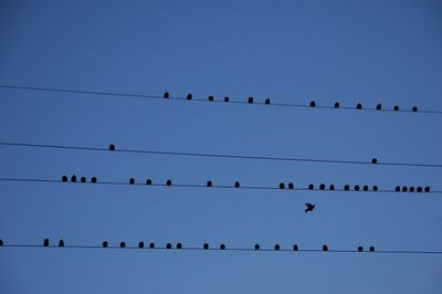 comment monter une cloison en placo facilement et rapidement