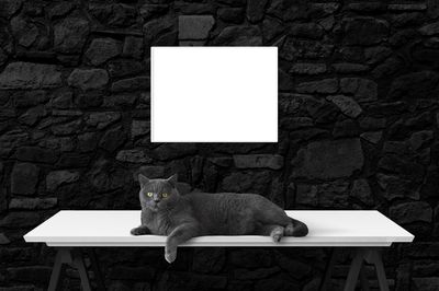 Comment créer un bureau mural rabattable