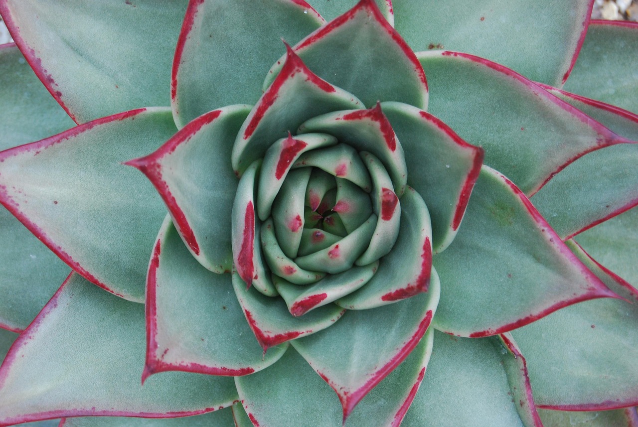 d&eacute;couvrez le ratio de m&eacute;lange id&eacute;al pour le b&eacute;ton afin d'obtenir une r&eacute;sistance optimale et une durabilit&eacute; maximale pour vos constructions.