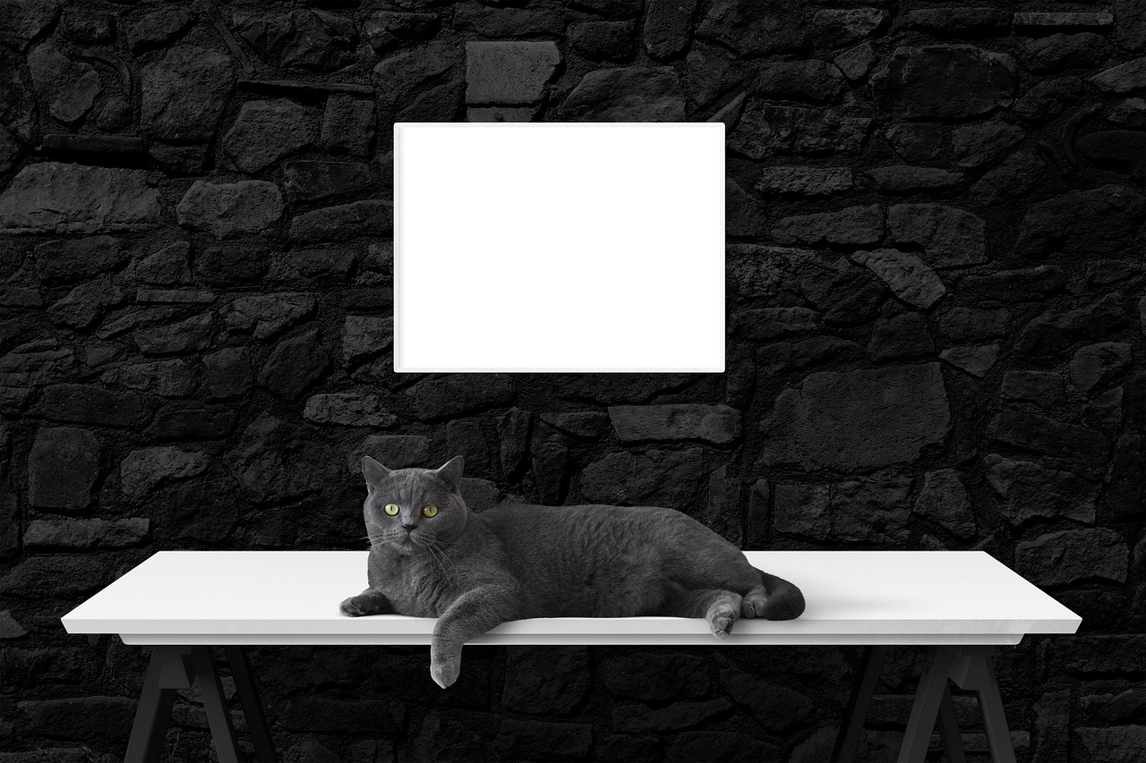 bureau mural pliable pratique et compact, id&eacute;al pour optimiser l'espace de travail &agrave; la maison ou au bureau.